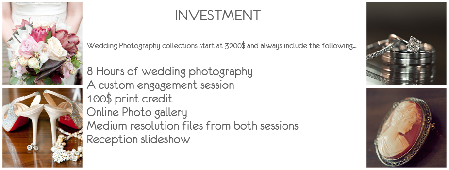investmentniagarawedding
